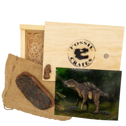 Maiasaura toe claw and oviraptorid egg Crate - Fossil Crates