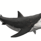 Marine Marauders Crate - Fossil Crates Megalodon tooth cast