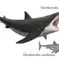 Paleoartwork of megalodon compared to a great white shark