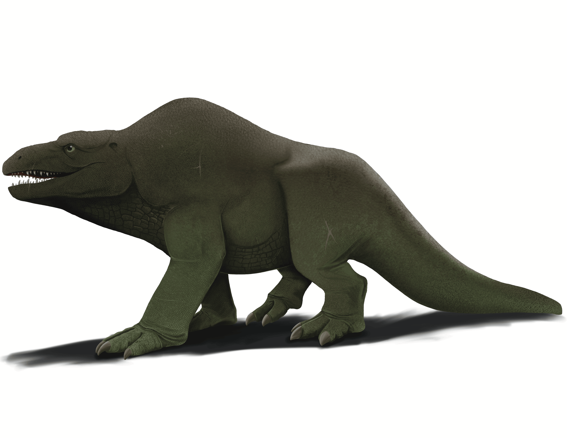 Megalosaurus Jaw Sculpt - Fossil Crates