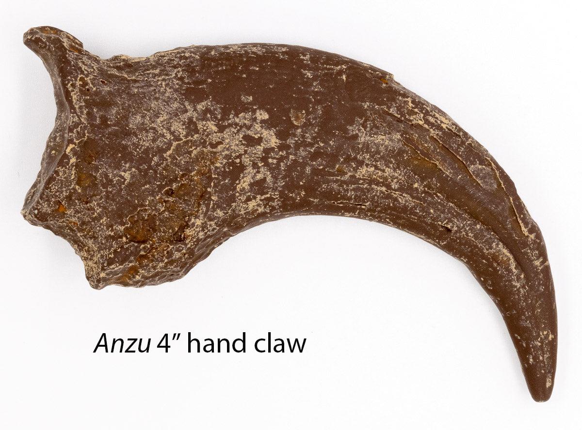 Mesozoic Monsters Crate: Anzu hand claw cast