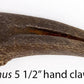 Mesozoic Monsters Crate: Stuthiomimus hand claw cast