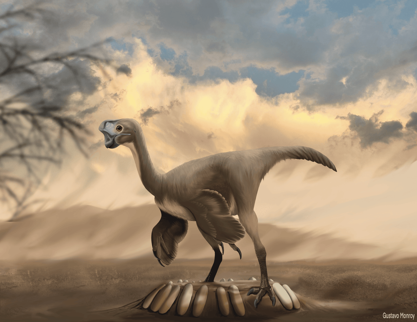 Oviraptorid egg cast and Anzu hand claw cast - Fossil Crates Dinosaur egg cast