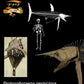 Protosphyraena Skull Cast, a "Sword Fish" of Sorts! - Fossil Crates TPISkull