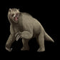 Smilodon vs Megalonyx Crate - Fossil Crates Smilodon Sabers