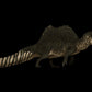 Spinosaurus aegyptiacus Scaled Skull - Fossil Crates Spinosaurus scaled skull