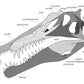 Spinosaurus aegyptiacus Scaled Skull - Fossil Crates Spinosaurus scaled skull