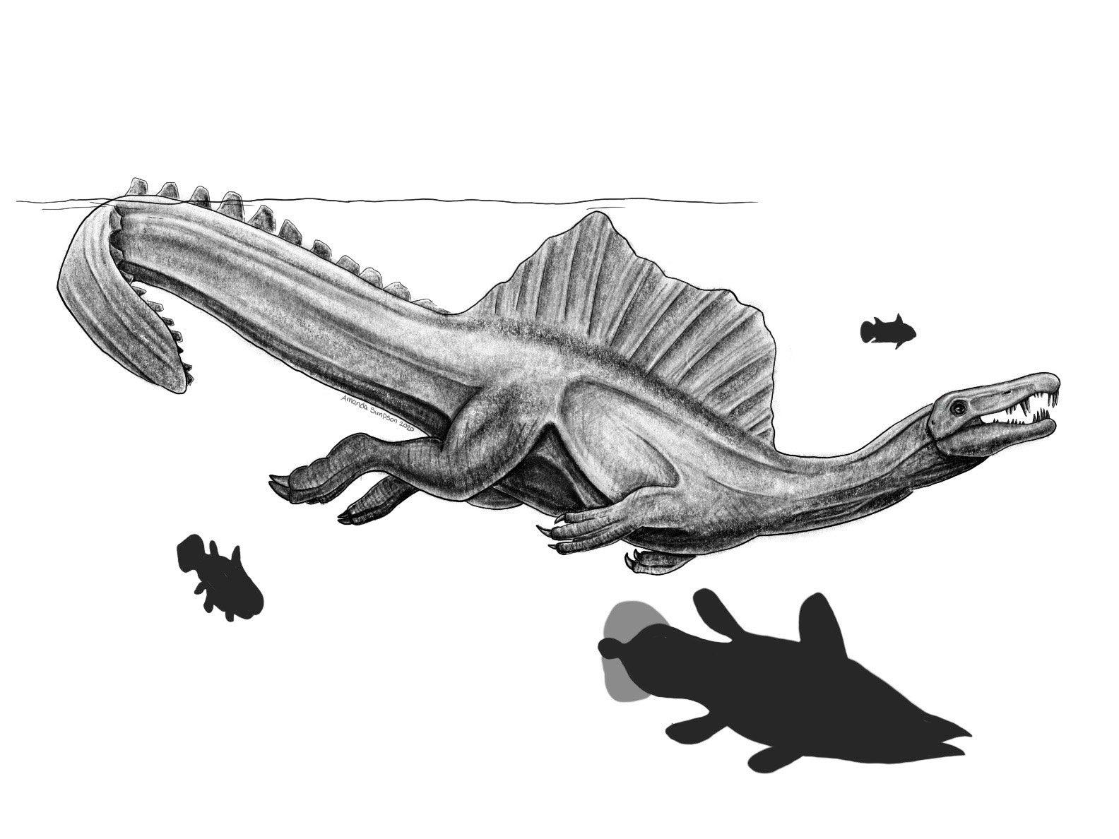 Outdated Spinosaurus Jurassic Park Spinosaurus Drawing