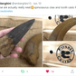 Spinosaurus Crate - Fossil Crates Dinosaur crate