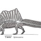 Spinosaurus vs Tyrannosaurus Crate - Fossil Crates Dinosaur teeth casts