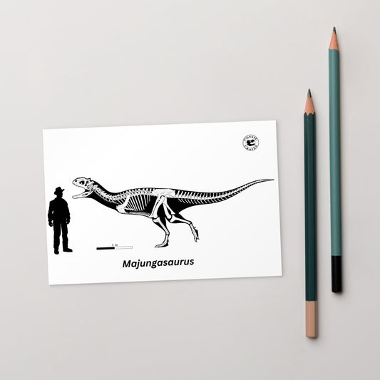 Majungasaurus Skeleton Madagascar Postcard