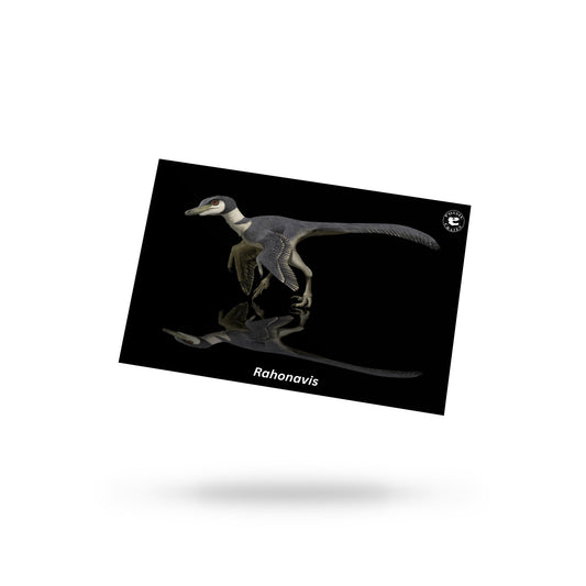 Supersaurus - Longest Dinosaur Poster – Fossil Crates