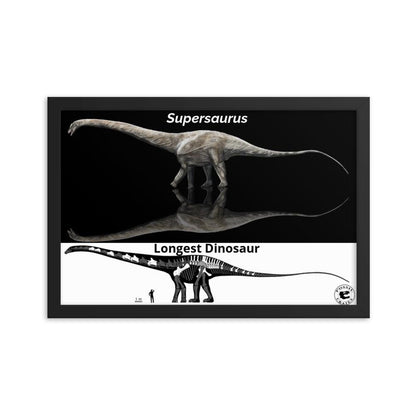 Supersaurus Longest Dinosaur Commemorative Framed Photo Paper Poster - Fossil Crates Dinosaur Poster