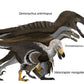 The Raptor Crate! Velociraptor, Deinonychus, Dromaeosaurus - Fossil Crates Dinosaur crate