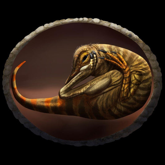 Theropod Egg Cast and Artwork - Fossil Crates Dinosaur Egg Cast