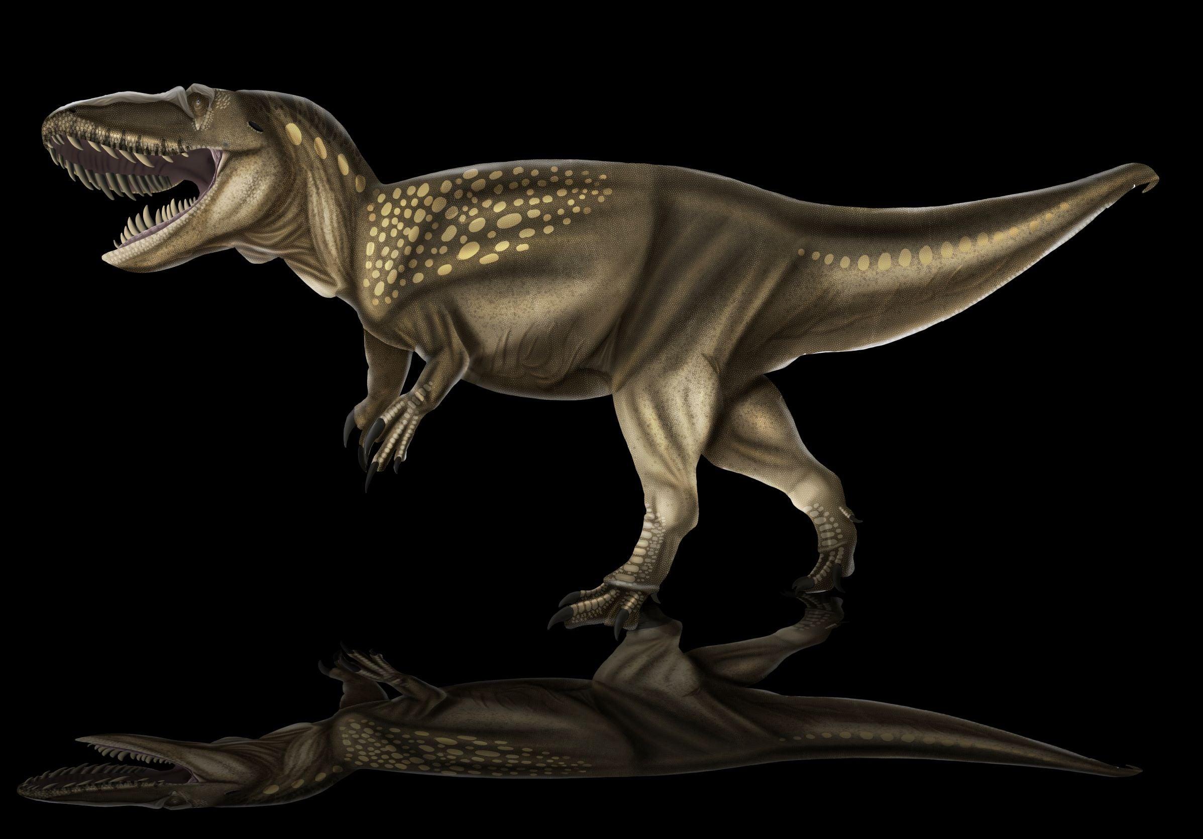 Dinosaur King Torvosaurus