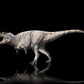 Tyrannosaurids Crate - Albertosaurus, Daspletosaurus, Gorgosaurus, Tyrannosaurus - Fossil Crates Dinosaur tooth and claws casts