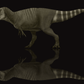Tyrannosaurids Crate - Albertosaurus, Daspletosaurus, Gorgosaurus, Tyrannosaurus - Fossil Crates Dinosaur tooth and claws casts