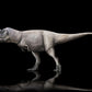 Tyrannosaurids Crate - Albertosaurus, Daspletosaurus, Gorgosaurus, Tyrannosaurus - Fossil Crates Dinosaur tooth and claws casts