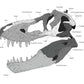 Diagram of Tyrannosaurus rex skull anatomy