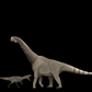 Ultimate Allosaurus vs Camarasaurus Crate - Fossil Crates Dinosaur teeth and claws casts