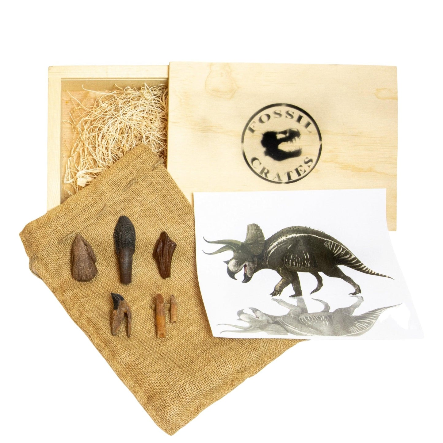 Ultimate Herbivores Wooden Crate: Triceratops, Rebbachisaurus, Edmontosaurus, Pachycephalosauurs