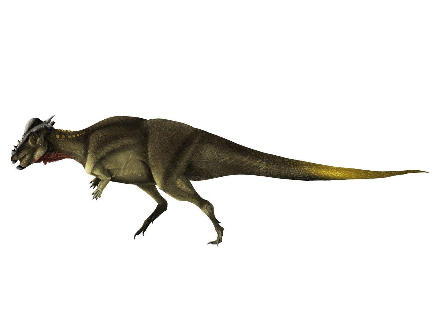 Pachycephalosaurus Paleoart