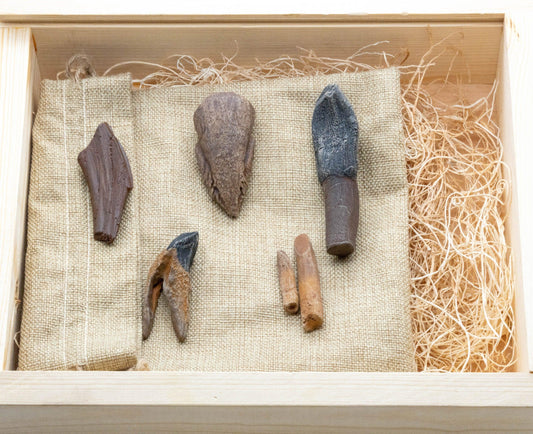 Ultimate Herbivores Crate - Fossil Crates