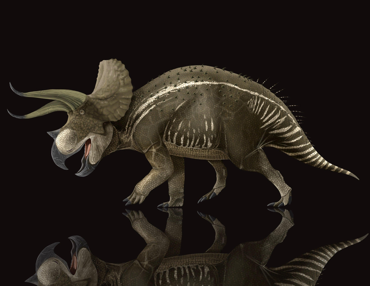 Triceratops paleoart