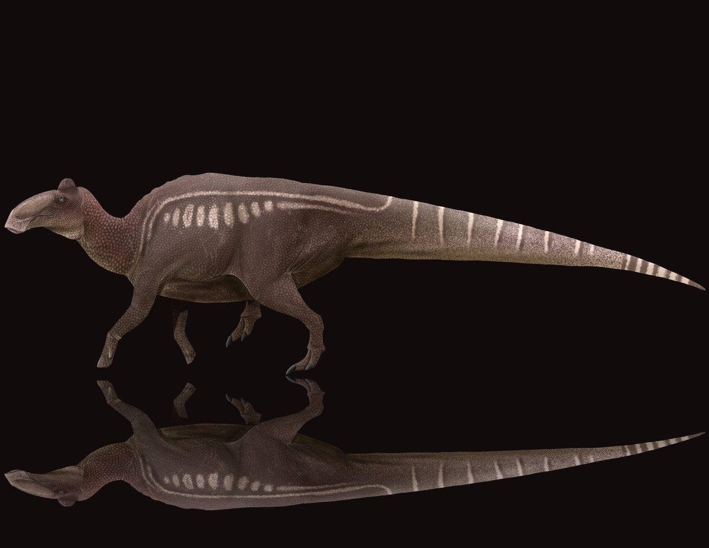 Edmontosaurus Paleoart