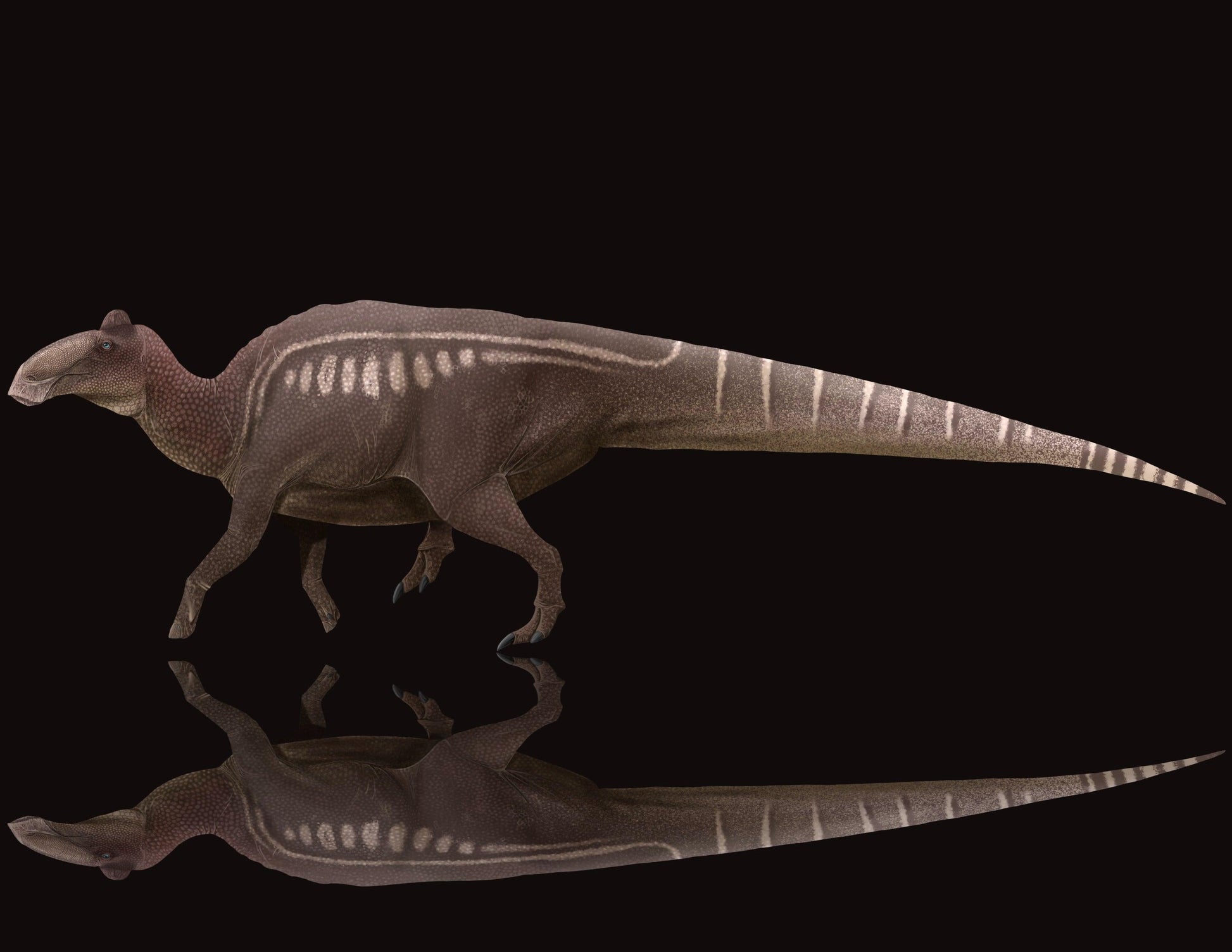 Ultimate Herbivores Crate - Fossil Crates