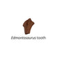 Edmontosaurus Tooth Cast
