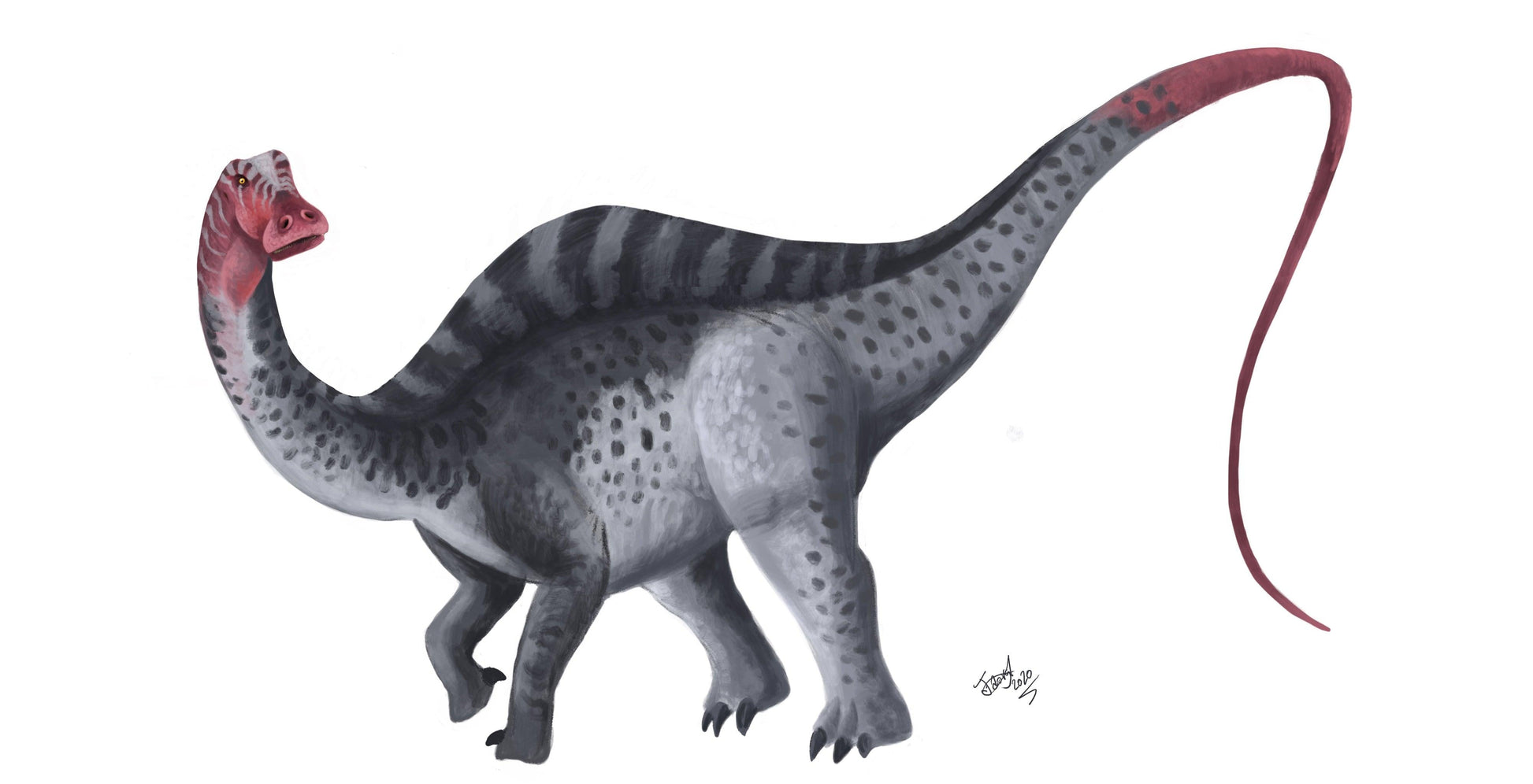 Rebbachisaurus Paleoart