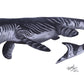 Ultimate Marine Marauders Crate - Fossil Crates Megalodon tooth cast