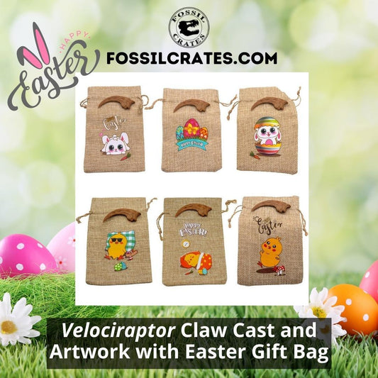 Velociraptor Claw Cast and Artwork with Easter Gift Bag - Fossil Crates