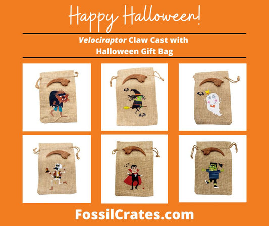Cuteness never goes extinct! The Velociraptor claw cast now comes with a fun and cute Halloween gift bag! Pick from a Witch, Werewolf, Ghost, Skeleton, Vampire, Vampire Junior, Frankenstein, Frankenstein Junior, Witch with broom, Skeleton Pirate, or Skeleton Music.