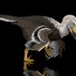 Velociraptor vs. Protoceratops - Throwdown in Mongolia Crate - Fossil Crates