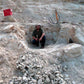 Video Chat with a Paleontologist - Fossil Crates Video Chat with a Paleontologist