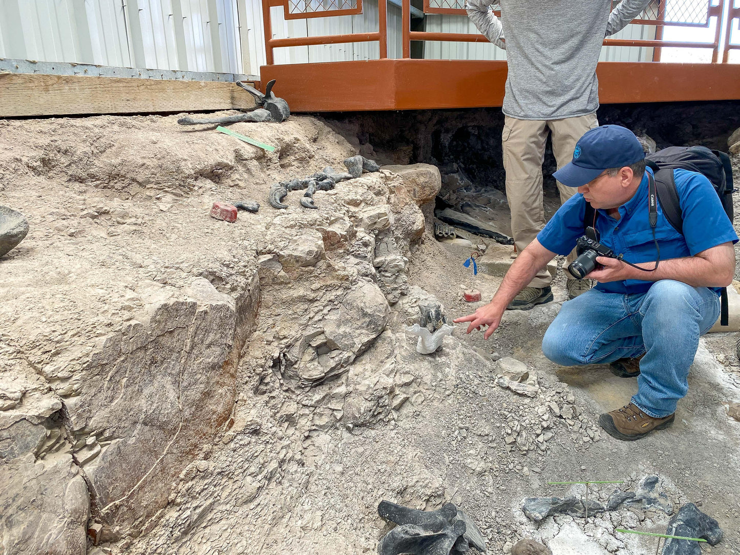 Video Chat with a Paleontologist - Fossil Crates Video Chat with a Paleontologist