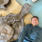Video Chat with a Paleontologist - Fossil Crates Video Chat with a Paleontologist
