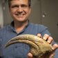 Video Chat with a Paleontologist - Fossil Crates Video Chat with a Paleontologist